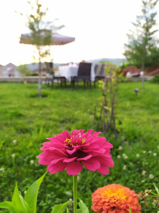Bliss Inn Boutique Hotel Gabala Exteriör bild